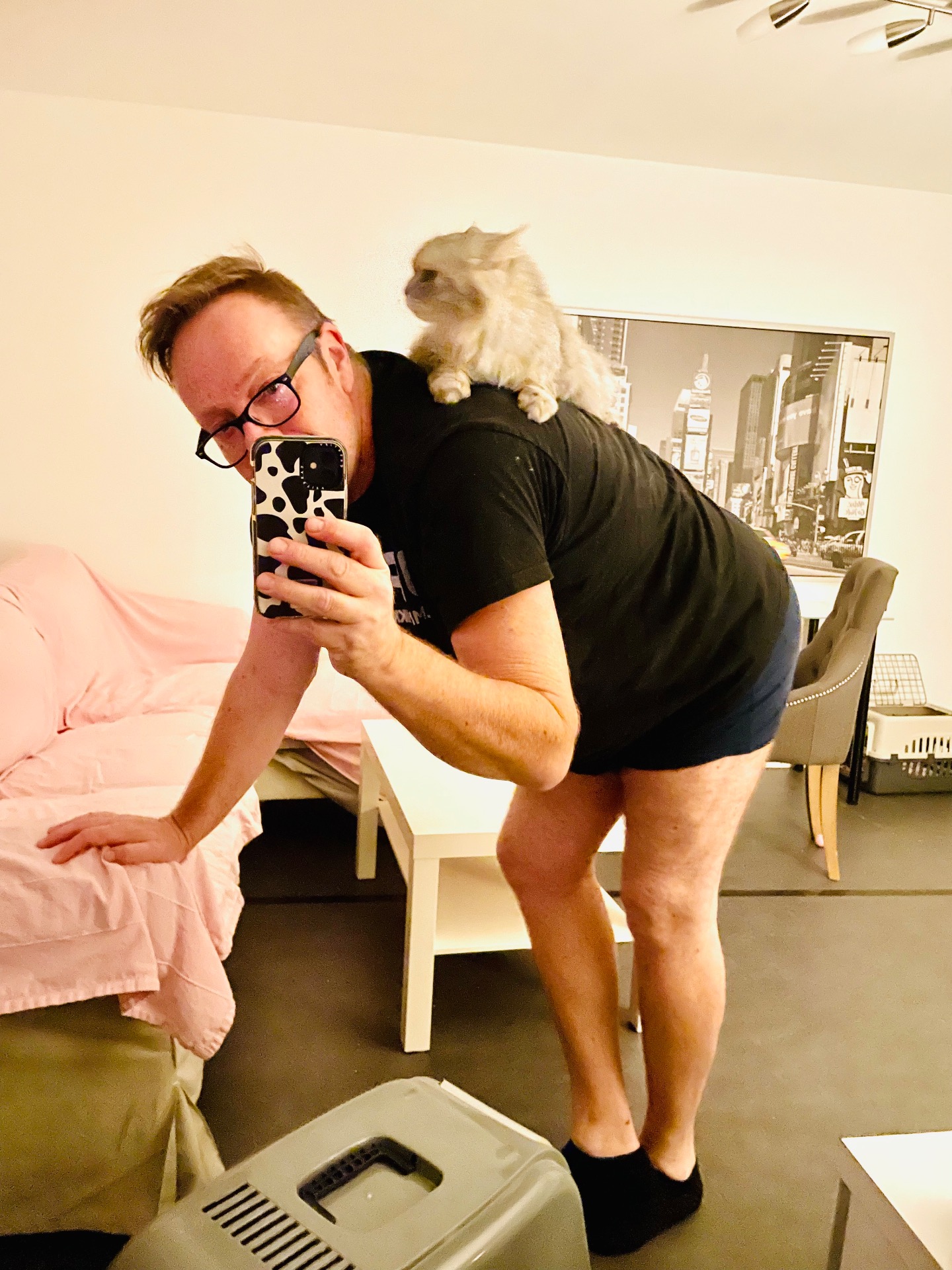 Selälle jos kissa kiipeää niin ei haittaa