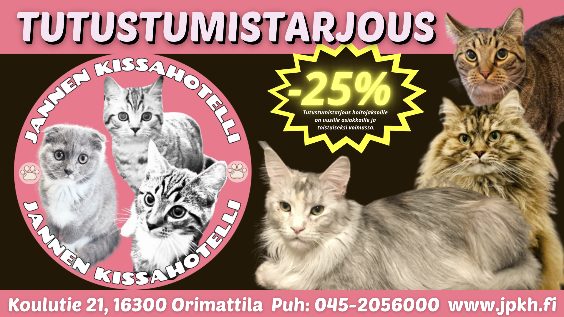 Uusille asiakkaille -25% tutustumistarjous kissan hoitojaksoista niin Jannen kissahotellissa kuin myös kotikäynteinä.