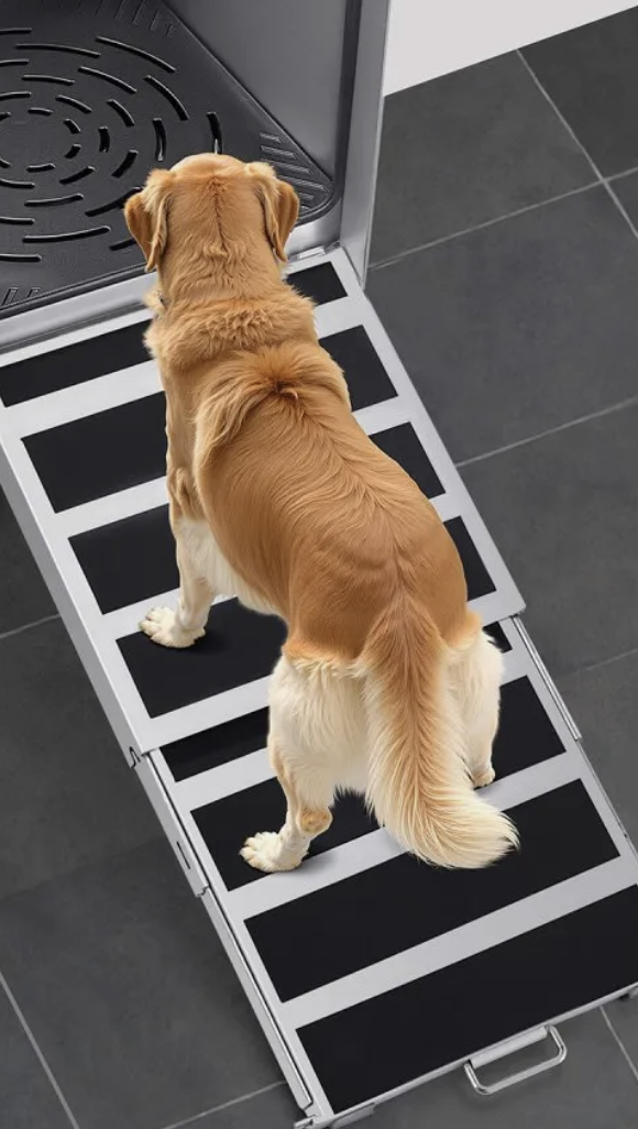 Altaassa on ramppi. Tämän ansiosta lemmikki kulkee sisään ja ulos ilman nostelua. 