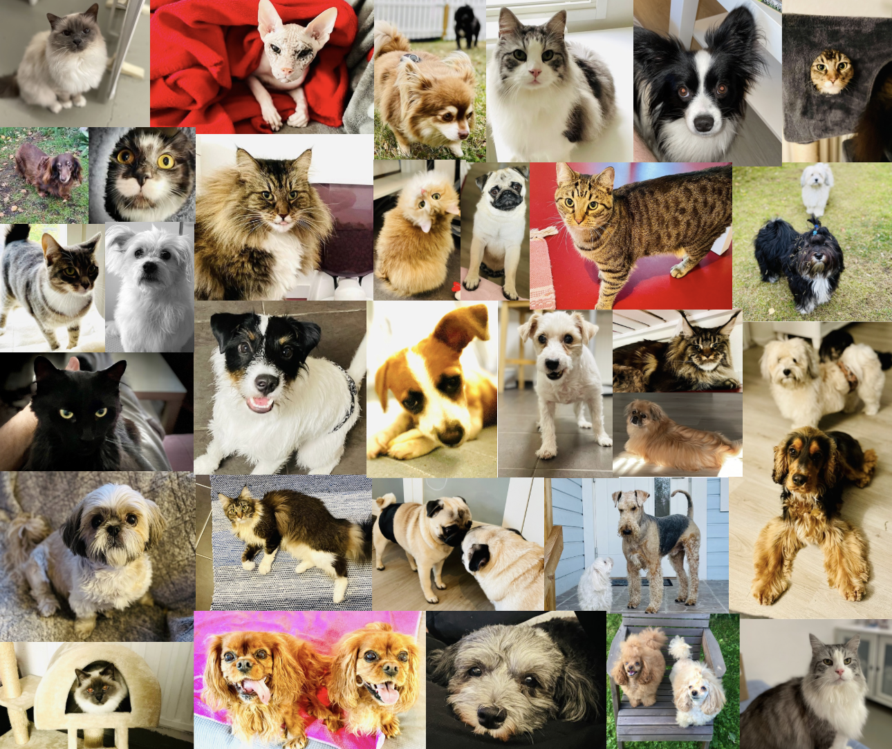 Here is few of my very happy customers.